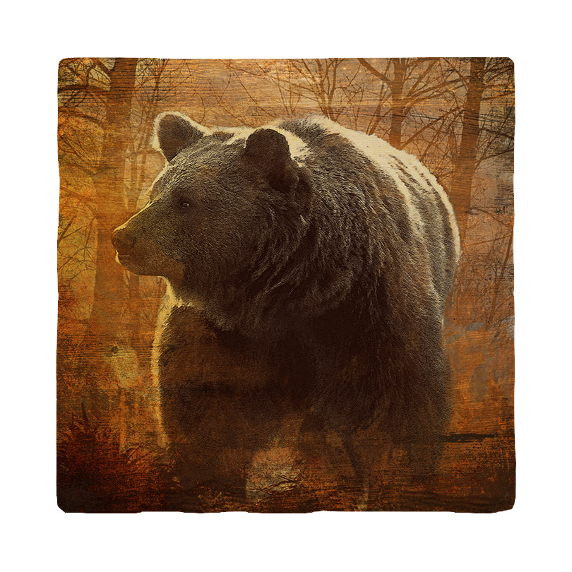 Brown Bear at Dusk | Drink Coaster Set