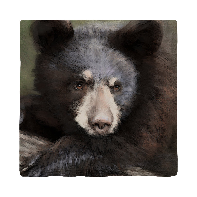 Brush Strokes Black Bear | Drink Coaster Set