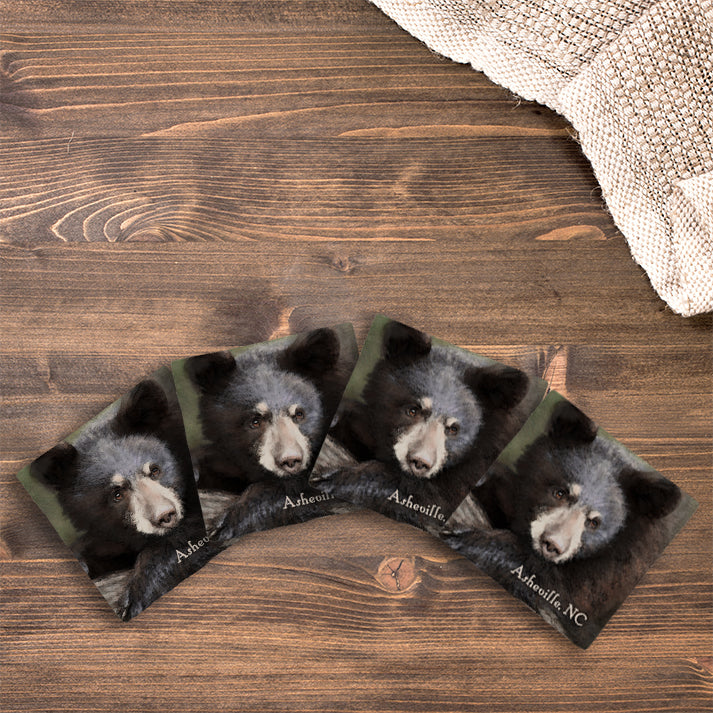 Customizable Brush Strokes Black Bear | Drink Coaster Set