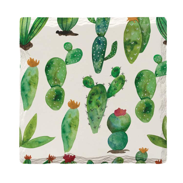 Watercolor Cactus | Drink Coaster Set