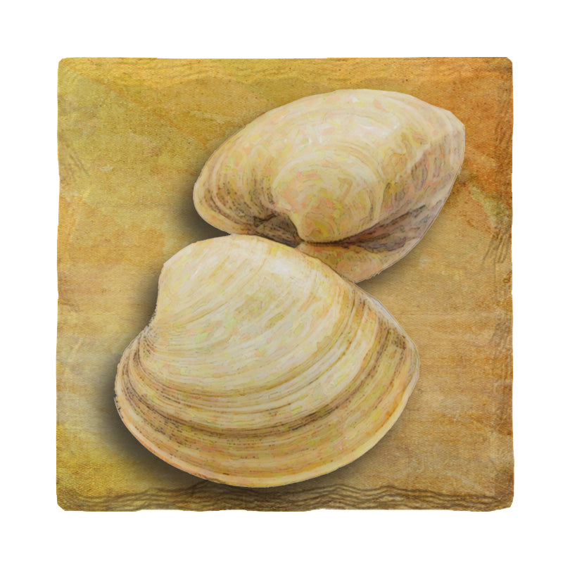 Coastal Clams | Drink Coaster Set