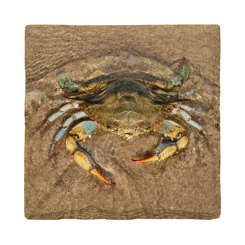 Blue Crab Beach | Drink Coaster Set