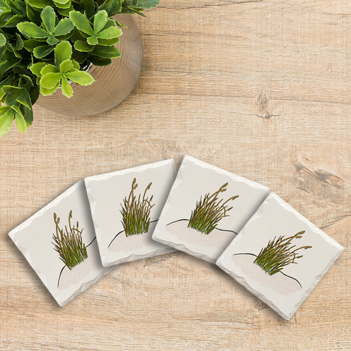 Beach Grass Doodle | Drink Coaster Set | Hand Drawn