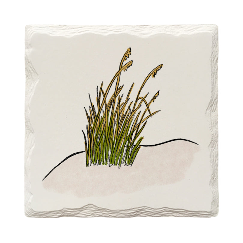 Beach Grass Doodle | Drink Coaster Set | Hand Drawn