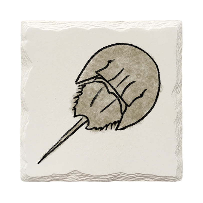 Horseshoe Crab Doodle | Drink Coaster Set | Hand Drawn