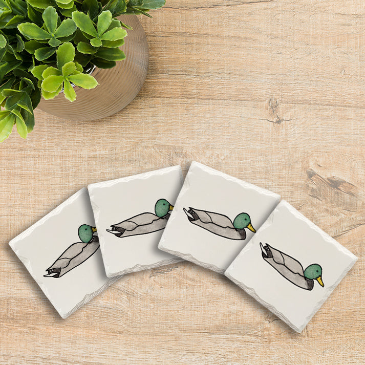 Mallard Duck Doodle | Drink Coaster Set | Hand Drawn