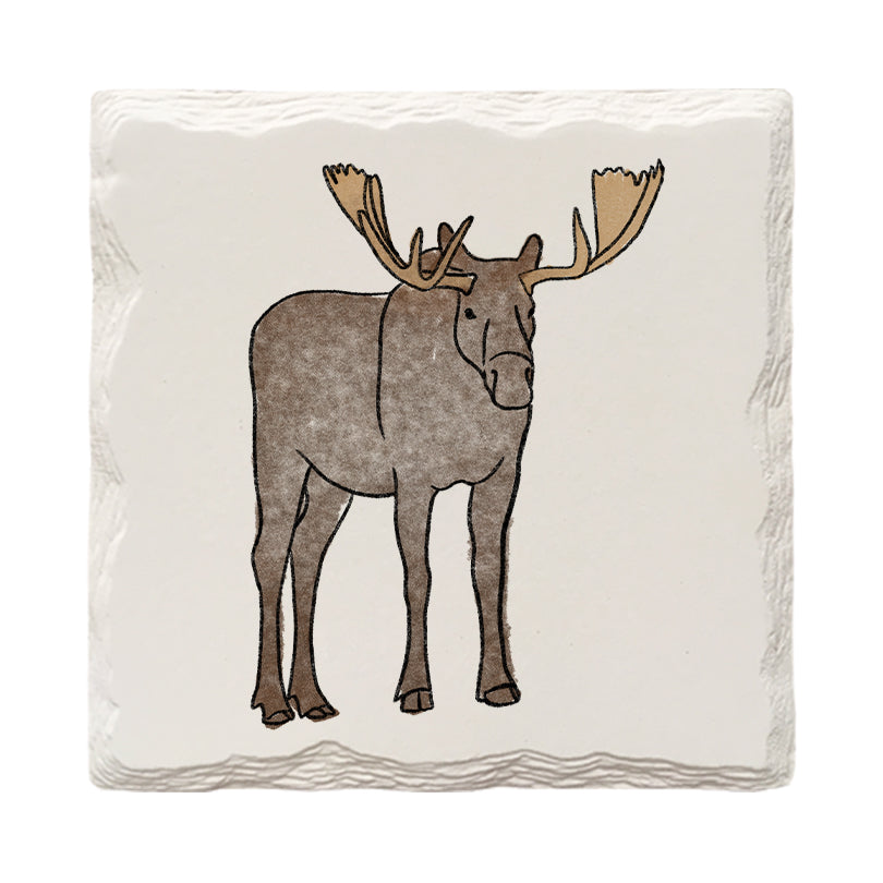 Moose Doodle | Drink Coaster Set | Hand Drawn