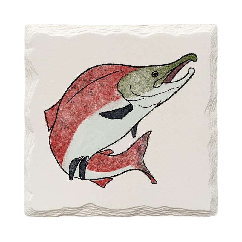 Sockeye Salmon Doodle | Drink Coaster Set | Hand Drawn