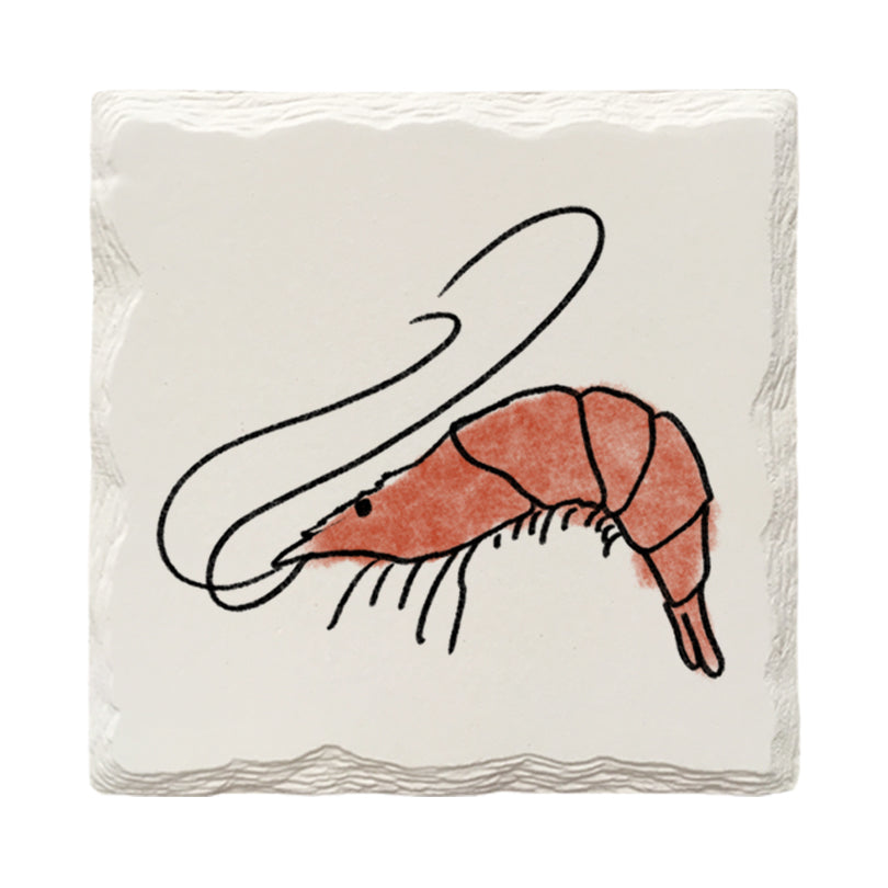 Shrimp Doodle | Drink Coaster Set | Hand Drawn