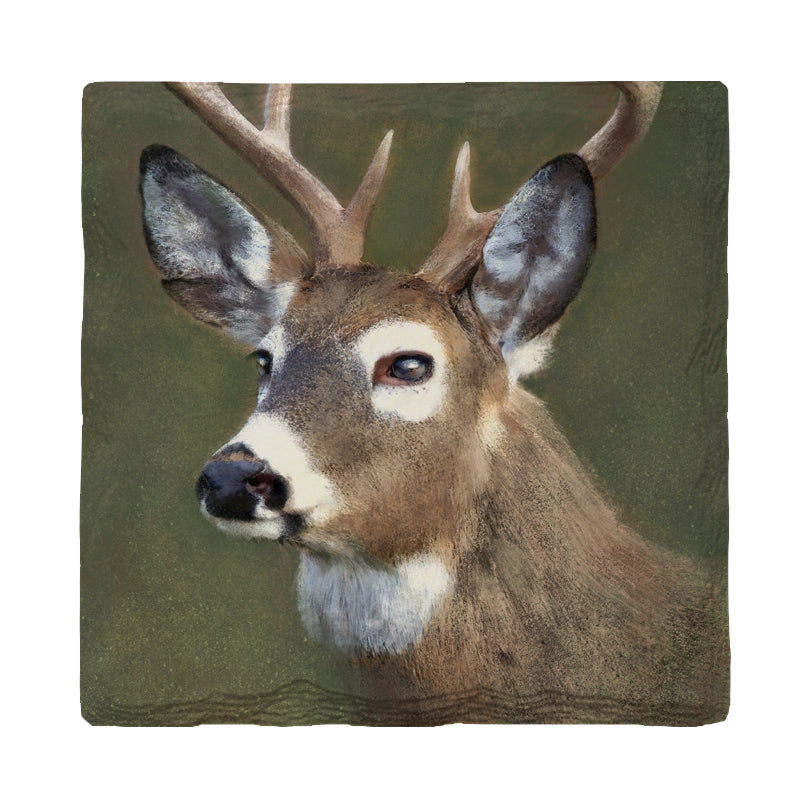 Stoic Deer | Drink Coaster Set