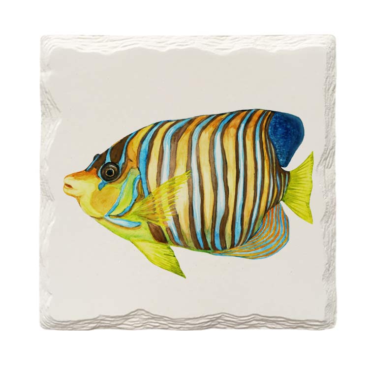 Reef Fish | Drink Coaster Set