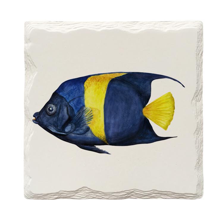 Coral Reef Fish | Drink Coaster Set