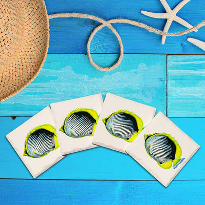 Tropical Fish | Drink Coaster Set