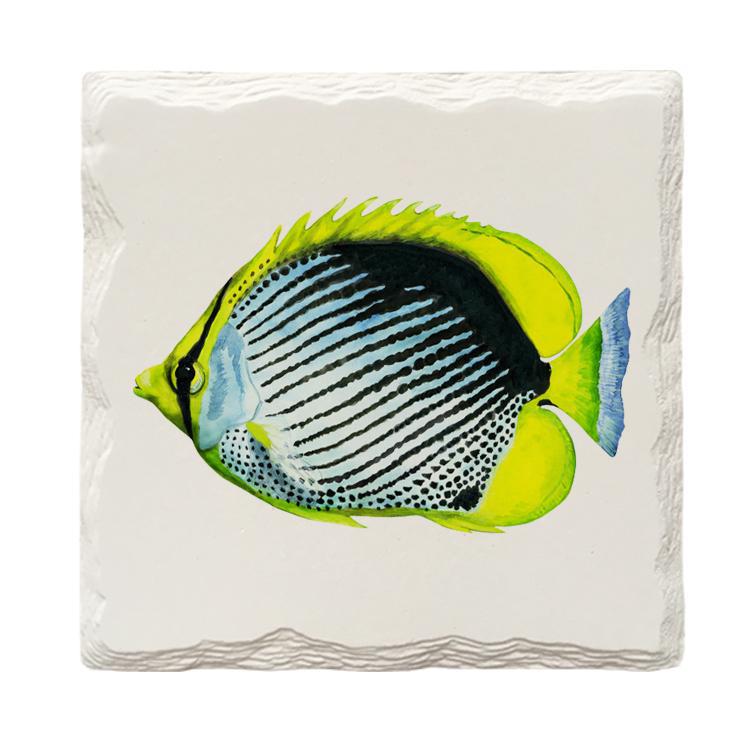 Tropical Fish | Drink Coaster Set