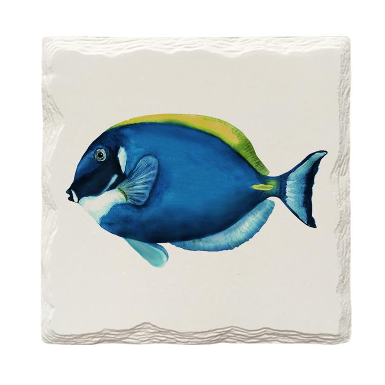 Dory Fish | Drink Coaster Set