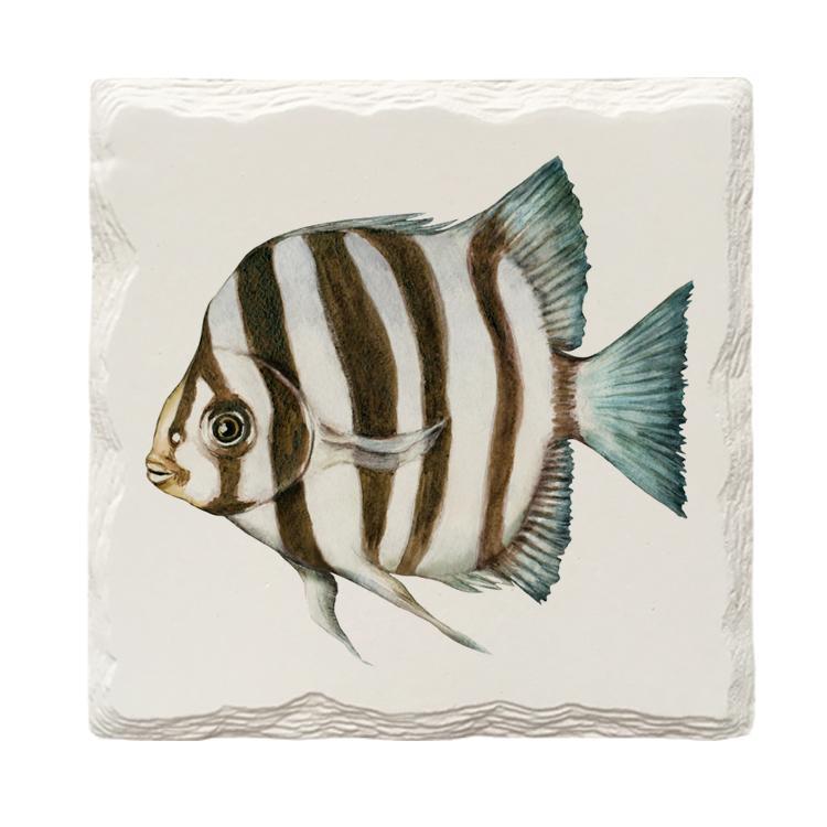 Zebrafish | Drink Coaster Set