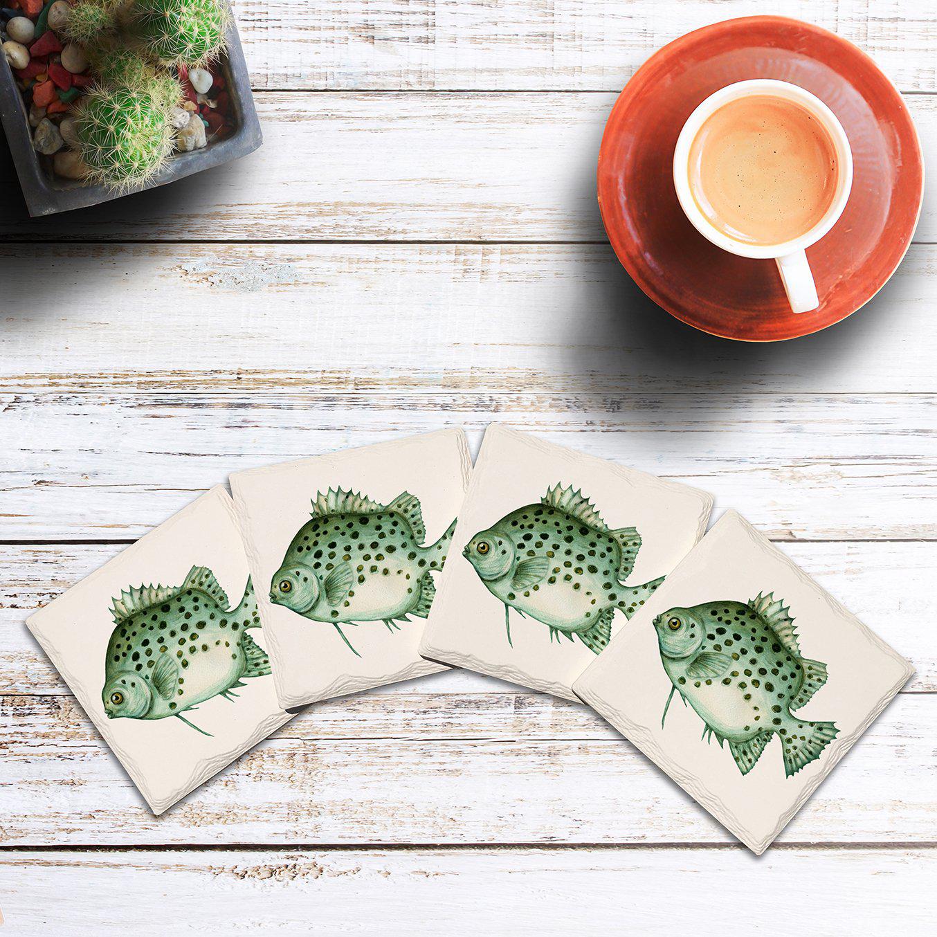 Humpback Grouper Fish | Drink Coaster Set