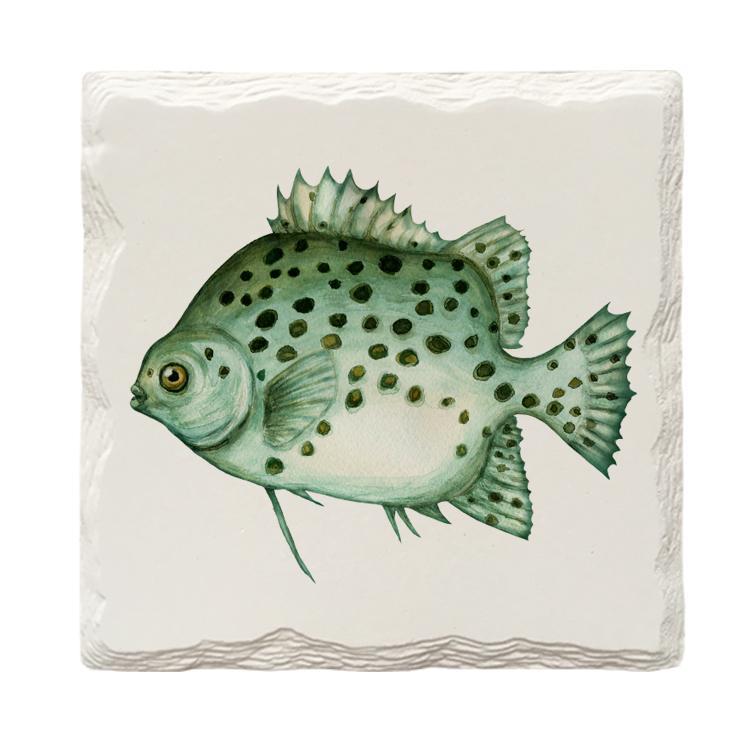 Humpback Grouper Fish | Drink Coaster Set