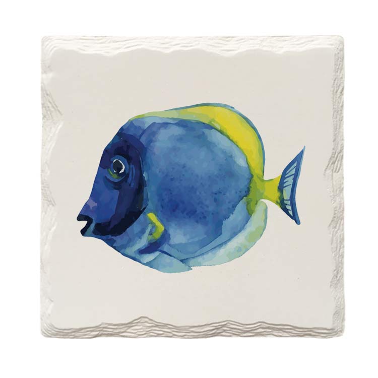 Blue Tang Fish | Drink Coaster Set