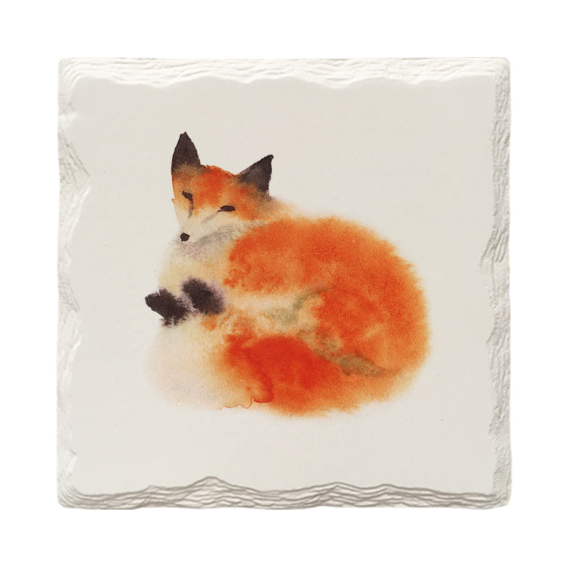 Watercolor Foxes Variety Pack | Drink Coaster Set