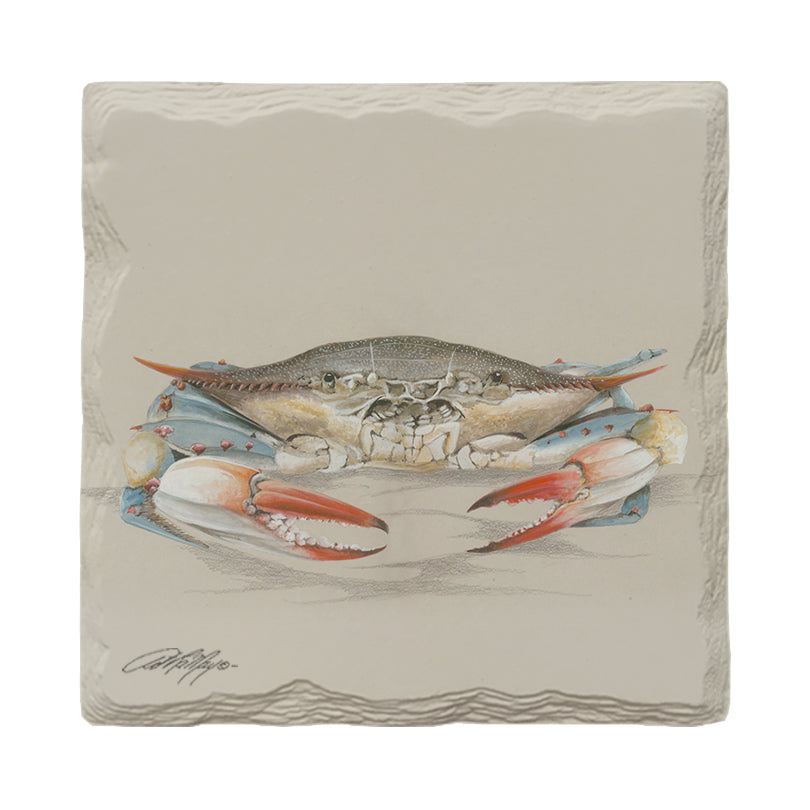 Curious Crab | Drink Coaster Set | Artist: Art Lamay