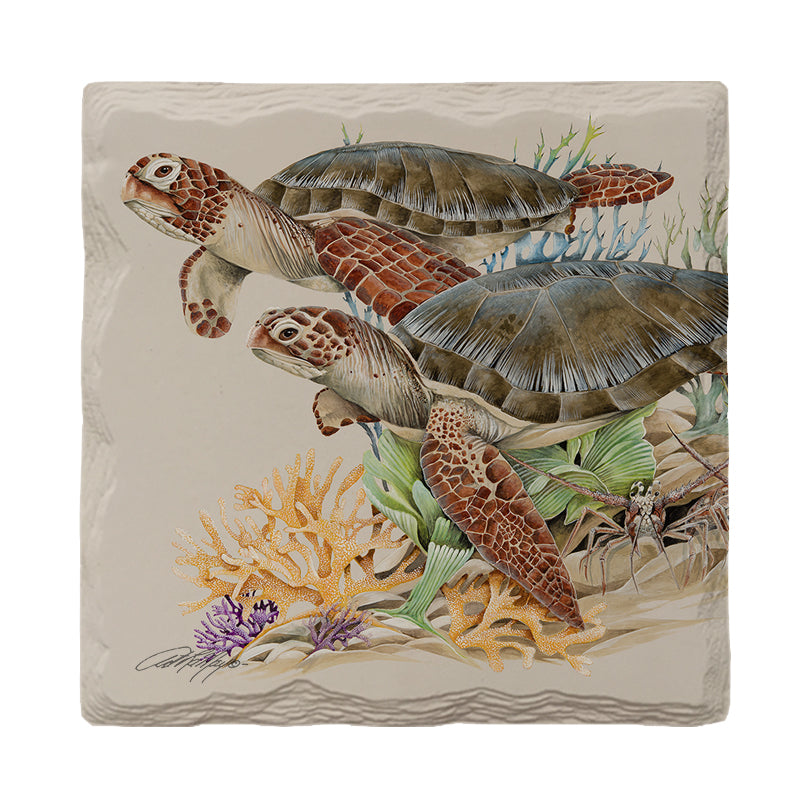 Swimming Sea Turtles | Drink Coaster Set | Artist: Art Lamay