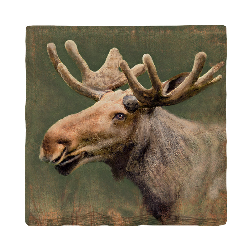 Happy Moose | Drink Coaster Set