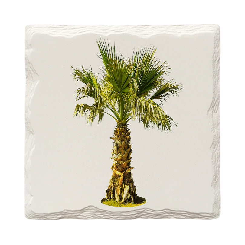 Palm Tree | Drink Coaster Set