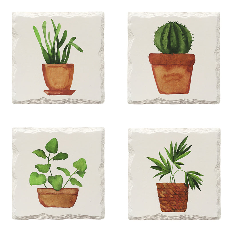 Potted Plants Variety Pack | Drink Coaster Set | Watercolor