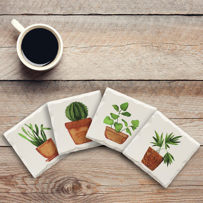 Potted Plants Variety Pack | Drink Coaster Set | Watercolor