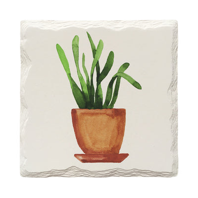 Potted Plants Variety Pack | Drink Coaster Set | Watercolor