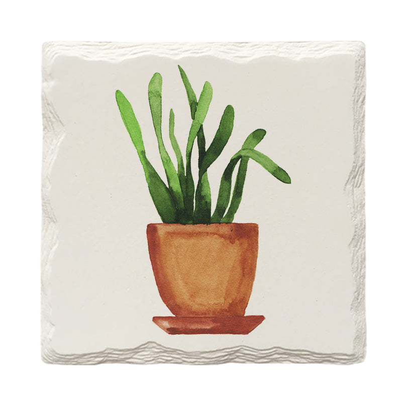 Potted Plant | Drink Coaster Set | Watercolor