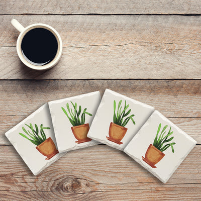 Potted Plant | Drink Coaster Set | Watercolor