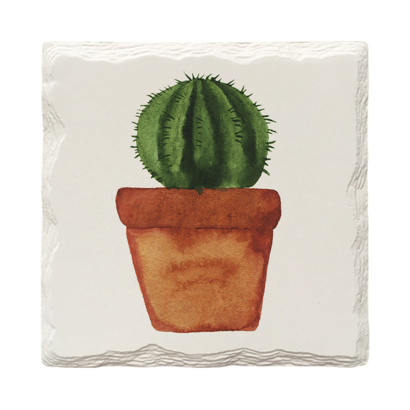 Potted Plants Variety Pack | Drink Coaster Set | Watercolor