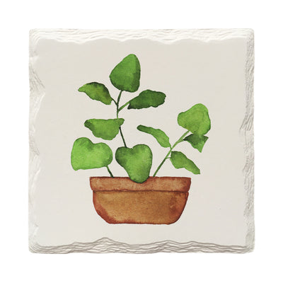 Potted Plants Variety Pack | Drink Coaster Set | Watercolor