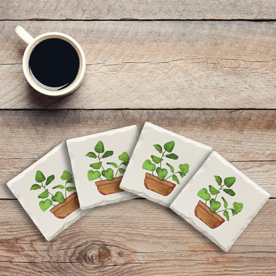 Potted Ivy | Drink Coaster Set | Watercolor