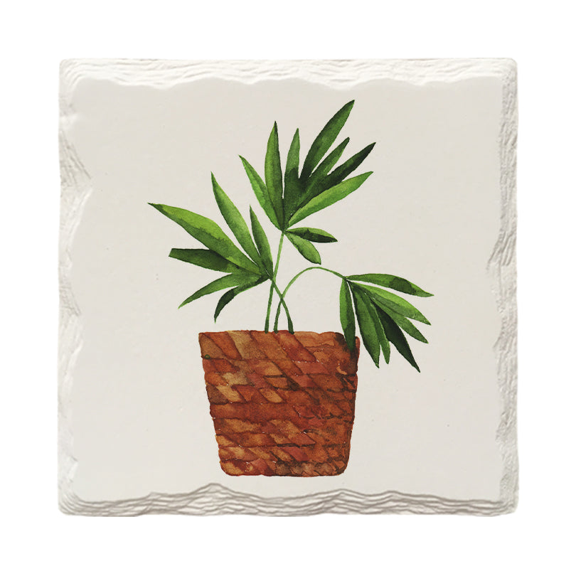 Potted Plants Variety Pack | Drink Coaster Set | Watercolor