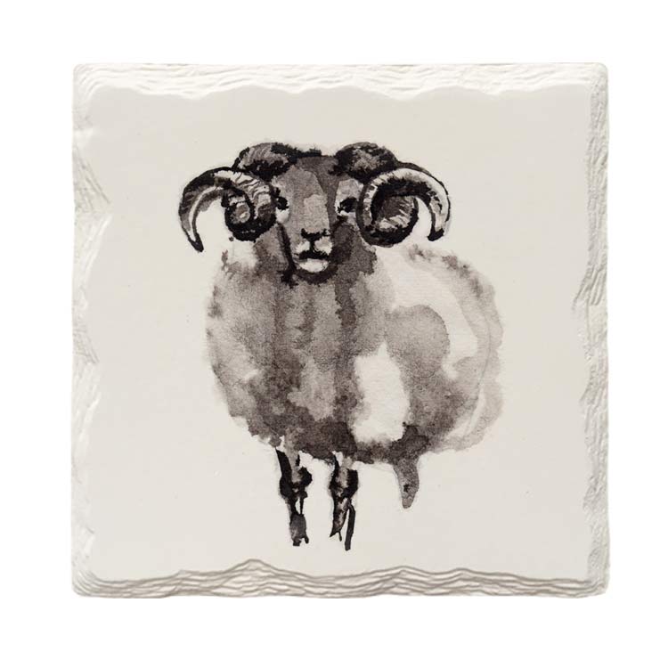 Watercolor Sheep | Drink Coaster Set