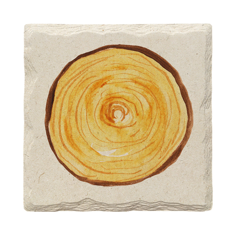 Wood Rings | Drink Coaster Set | Watercolor